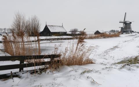 冬天，俄罗斯，村庄，景观，轧机，雪