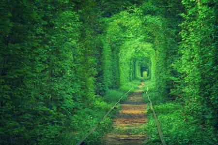 爱的隧道，乌克兰，Kohannya隧道，Rivne，地区，村庄，Klevan，路径，性质，绿色背景