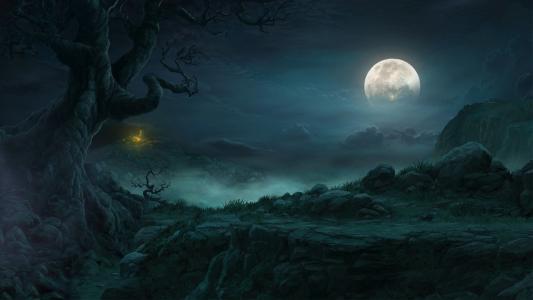 景观，月亮，夜晚，暗黑破坏神3，岩石，云，树，小屋