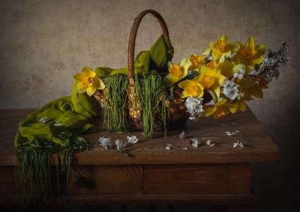 Inna Sukhova，桌子，篮子，鲜花，水仙花，分支，樱桃，围巾