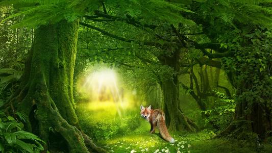 自然，艺术，艺术，森林，童话，树木，狐狸，绿党