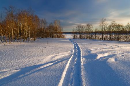 冬天，雪，小径，树木，地平线，匡Murashova