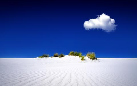 沙丘，棕榈，沙子，天空
