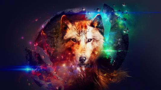 狼，狼，空间，彩虹