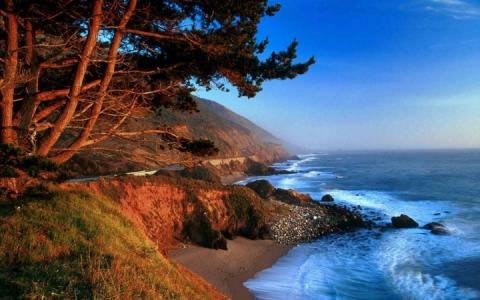树木，沙滩，海洋，海岸线，北加州