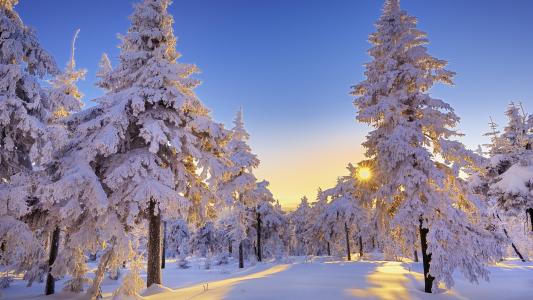 华丽的冬季雪景壁纸