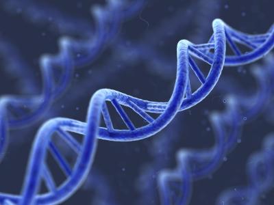 遗传DNA计算机壁纸