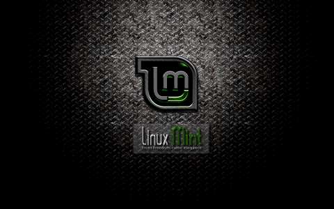 黑暗的Linux薄荷宽壁纸