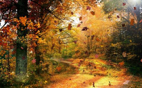 令人惊叹的秋天风景