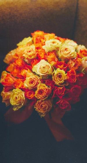 情人节礼物想法玫瑰花束浪漫的iPhone 6加高清壁纸