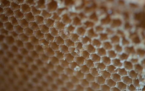 蜂蜜收获Mac壁纸