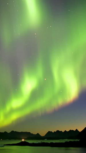 北极光绿色发光iPhone 6壁纸