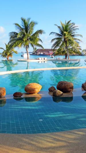 马尔代夫假日酒店游泳池棕榈树iPhone 6 Plus高清壁纸