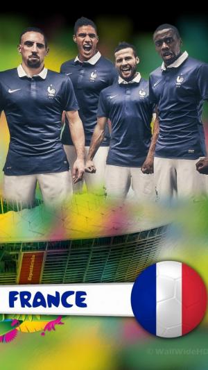 法国2014年世界杯E组足球比赛iPhone 6壁纸