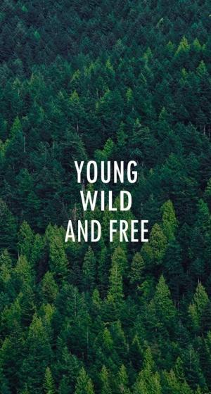 年轻的野生和自由森林模式iPhone 6 Plus高清壁纸