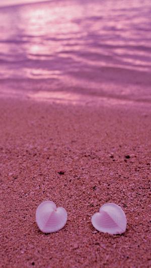 快乐情人节贝壳海滩iPhone 5壁纸