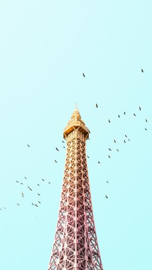 巴黎埃菲尔铁塔鸟彩色iPhone 6 Plus高清壁纸