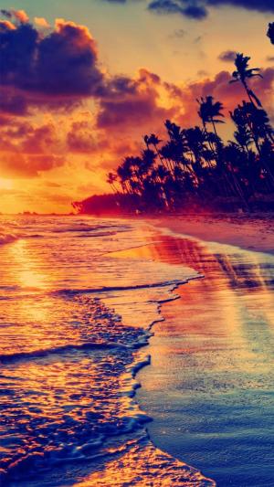 金色的沙滩日落热带iPhone 6壁纸