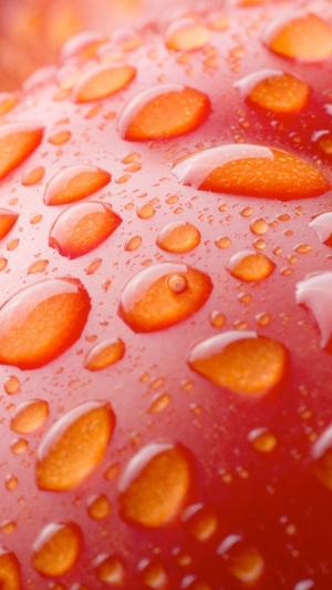 水滴在番茄iPhone 5壁纸