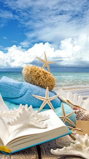 夏季海滩书贝壳海星星iPhone 6 Plus高清壁纸