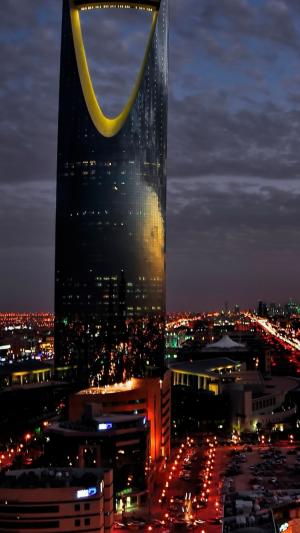 沙特阿拉伯利雅得市夜间iPhone 6壁纸