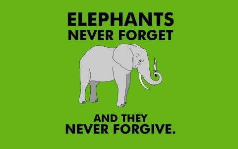 大象永远不会忘记从来没有原谅壁纸