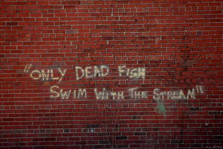 只有死鱼与流墙纸游泳