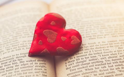 心脏，爱情，书籍，阅读，花，红色，闪耀