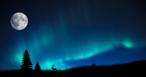 极光borealis图片夜