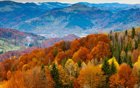 秋季，山，乐趣，红色，橙色，树，性质