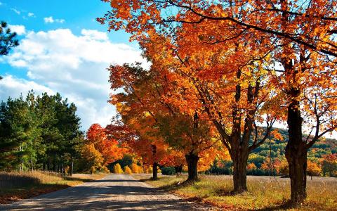 秋天的乡村道路
