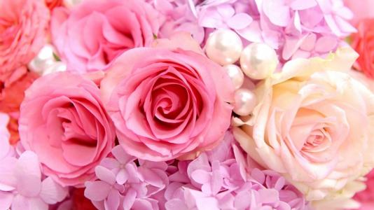 粉红和白玫瑰壁纸