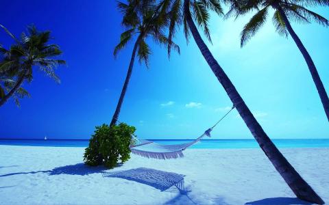 吊床马尔代夫海滩自然
