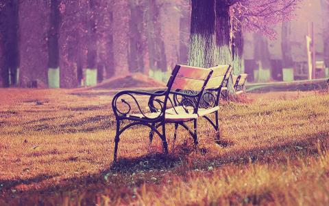 壁纸，秋季，蓝色，公园，椅子，孤独，性质