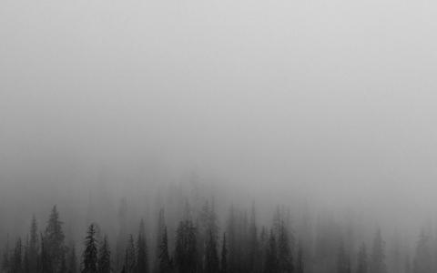 雾，最小的，山，木，性质