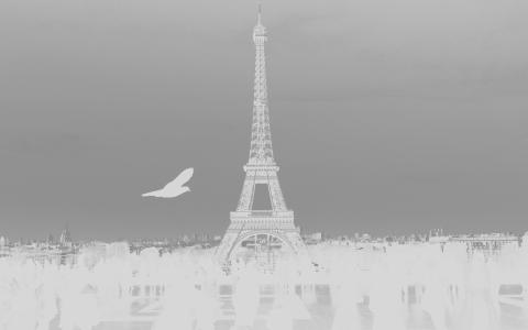 巴黎，埃菲尔铁塔，塔，旅游，暗，体重，鸟，法国，白