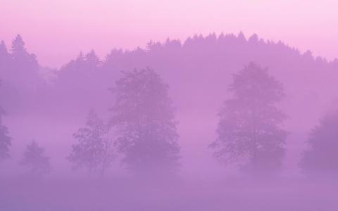 云雾缭绕，粉红色，森林，山地，性质
