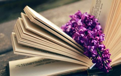 书，读，时间，花，火炬，紫