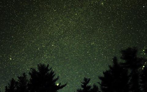 晚上，天空，明星，空间，繁星点点，木，黑，绿，浪漫