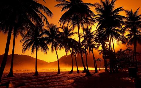 日落图片棕榈滩
