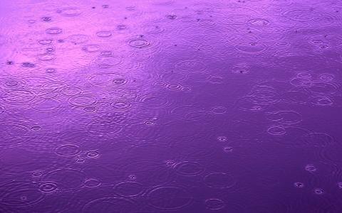雨滴紫色