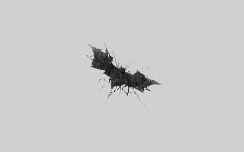 蝙蝠侠，粉碎，白色，艺术