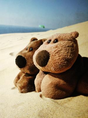 沙填充动物泰迪熊手机壁纸