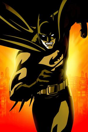 蝙蝠侠：哥谭骑士（2008）