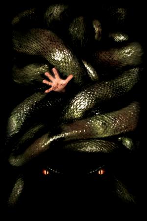 蟒蛇：寻找血兰花（2004）