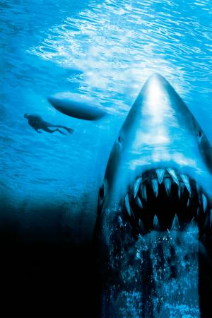 大白鲨：复仇（1987）