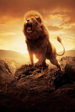 纳尼亚传奇：狮子，女巫和衣柜（2005）