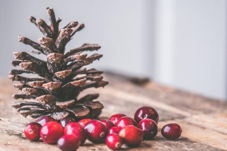 小红莓，松果，圣诞节，装饰，装饰，质朴，表，木，木，cc0，季节性，节日
