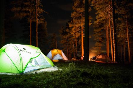 野营，户外，旅游，冒险，帐篷，树林，森林，篝火，假期，旅行，人，草，绿色