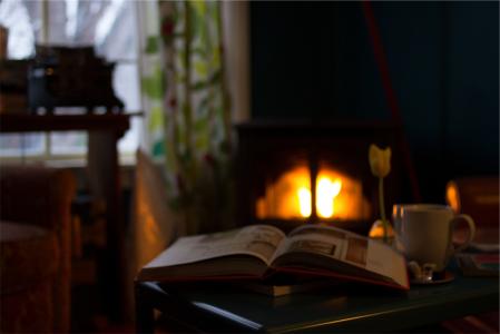 书，页，阅读，壁炉，火焰